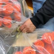 好听独特的唯美网名小众惊艳