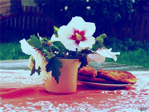 30句心情说说：很有主见，挑一句发朋友圈吧